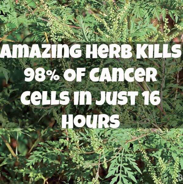 301 Moved Permanently